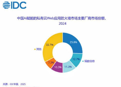 瑞數(shù)信息蟬聯(lián)idc中國ai賦能私有云waf市場份額top2